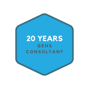 OEMs consultant