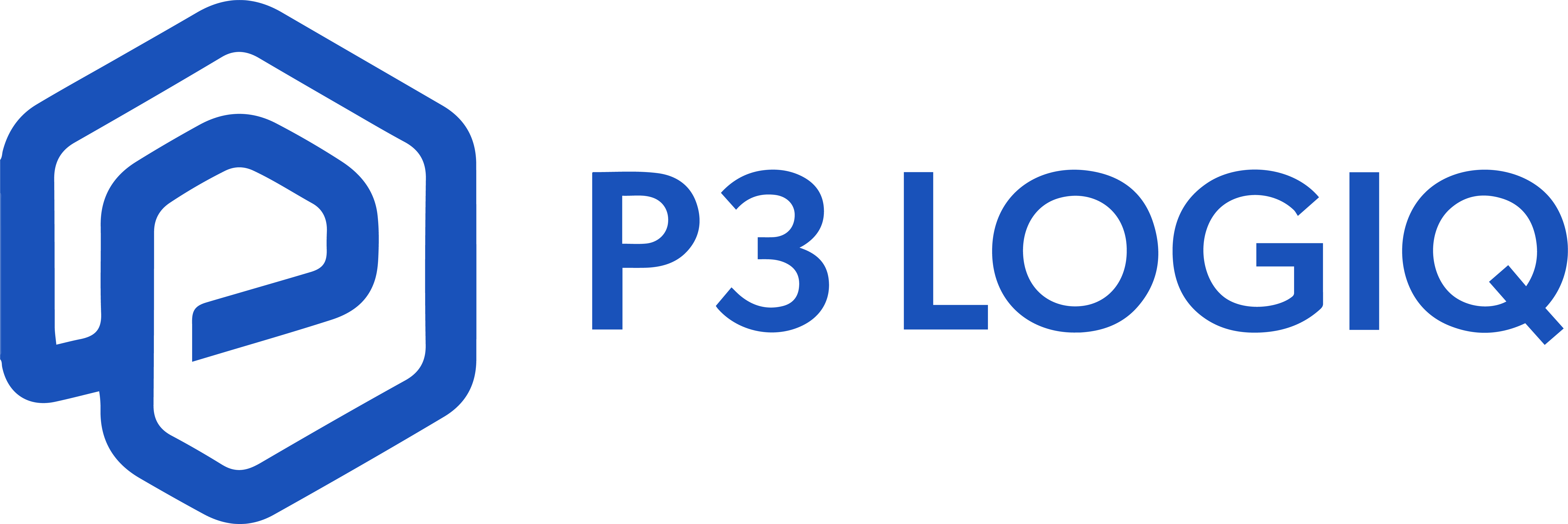 P3 Logo
